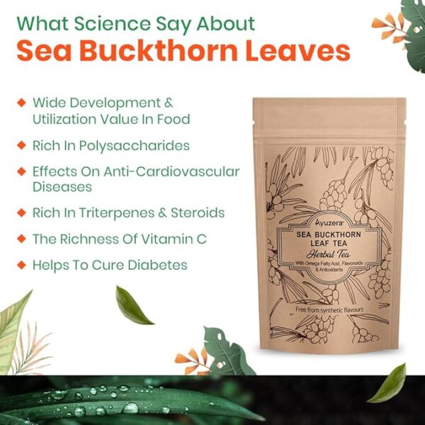 Seabuckthorn Leaf Tea 50g - Image 4