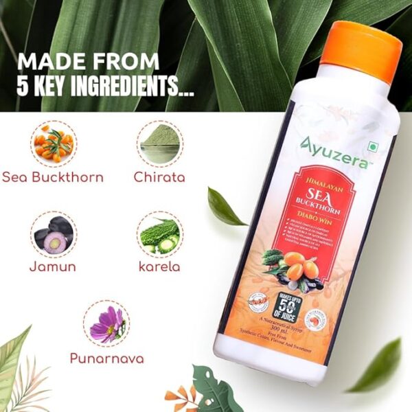 Seabuckthorn Diabetes Juice - Image 2