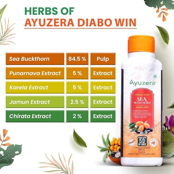 Seabuckthorn Diabetes Juice - Image 4