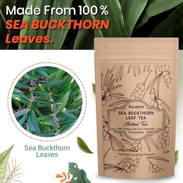 Seabuckthorn Leaf Tea 50g - Image 3