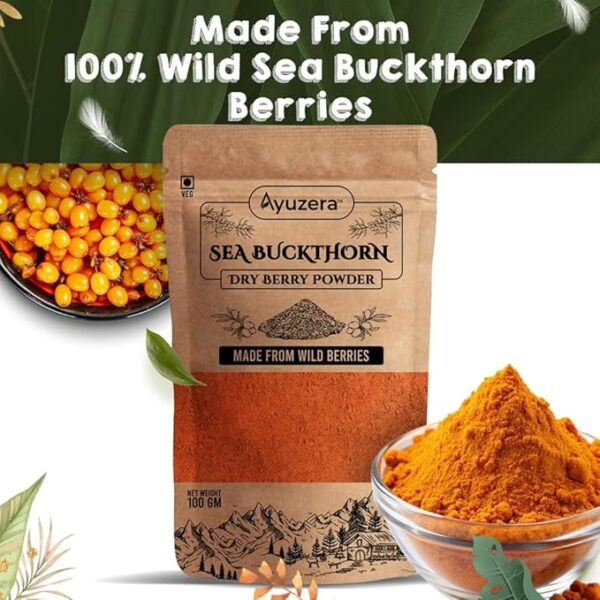 Sea Buckthorn Dry Berry Powder 100gm - Image 2