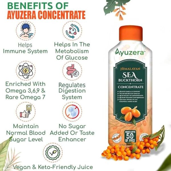 Seabuckthorn Juice 300ml - Image 2